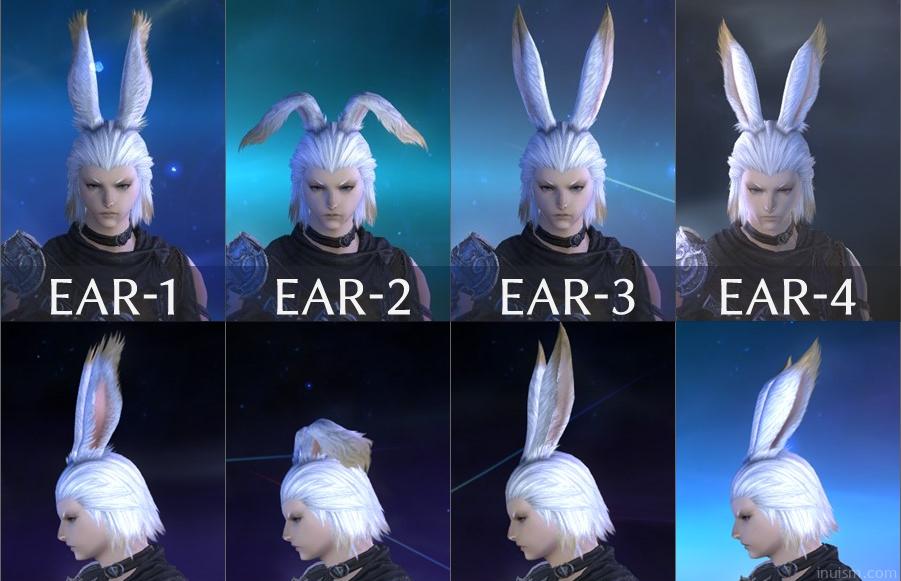 ヴィエラ男 キャラメイク雑感 他種族や女ヴィエラとの違いなど Inuism